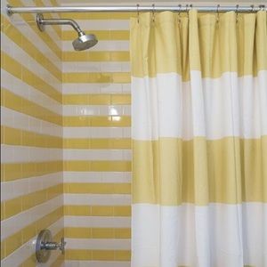 WEST ELM Citron Stripe Shower Curtain - SOLD OUT